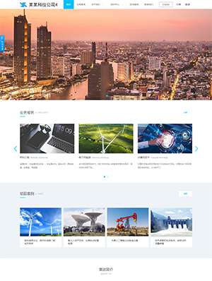 某某科技公司4 0282